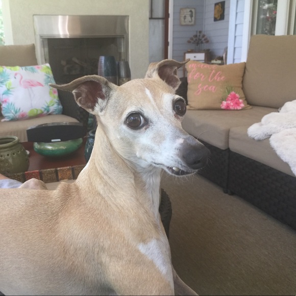 About me - Picture 7 of 7